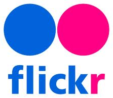 flickr website login